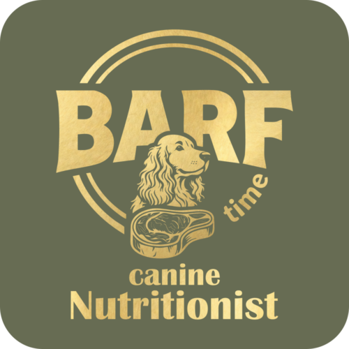 Gold metallic logo on a green background for "BARF time canine Nutritionist". The design features a stylised illustration of an english cocker spaniel dog looking at a cut of raw steak, framed by a circular double-border. The word "BARF" is in large, bold letters across the center, with "time" curved below it, and the words "canine Nutritionist" written in a clean, serif font across the bottom.