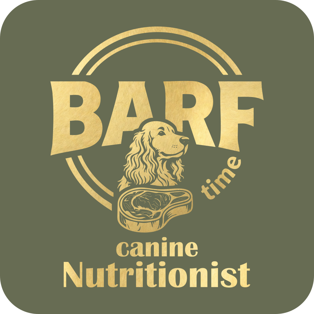 Gold metallic logo on a green background for "BARF time canine Nutritionist". The design features a stylised illustration of an english cocker spaniel dog looking at a cut of raw steak, framed by a circular double-border. The word "BARF" is in large, bold letters across the center, with "time" curved below it, and the words "canine Nutritionist" written in a clean, serif font across the bottom.