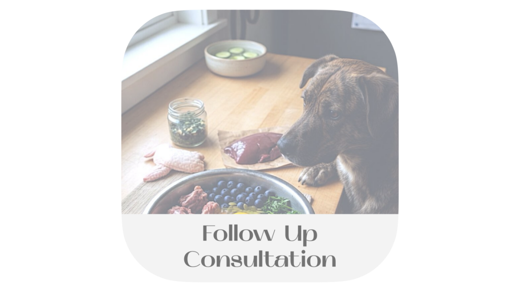 A brindle dog sits at a wooden kitchen counter in front of a window, intently staring at a large stainless steel bowl filled with raw dog food ingredients including chicken wings, sardines, blueberries, carrots, leafy greens, and a raw egg. More raw ingredients like liver, chicken thighs and herbs are arranged nearby on the wooden counter top. The image has rounded corners with the text 'Follow Up Consultation' displayed at the bottom.