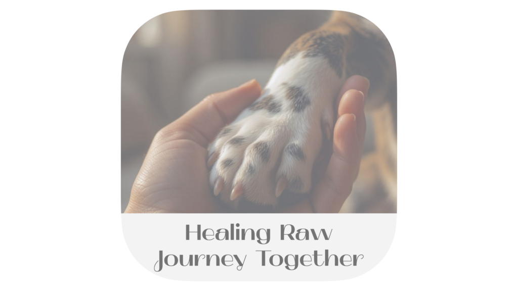 Close-up of a person’s hand lovingly cradling a dog’s paw, highlighting the soft short white fur, dark spots. The image has rounded corners with the text 'Healing Raw Journey Together' displayed at the bottom.